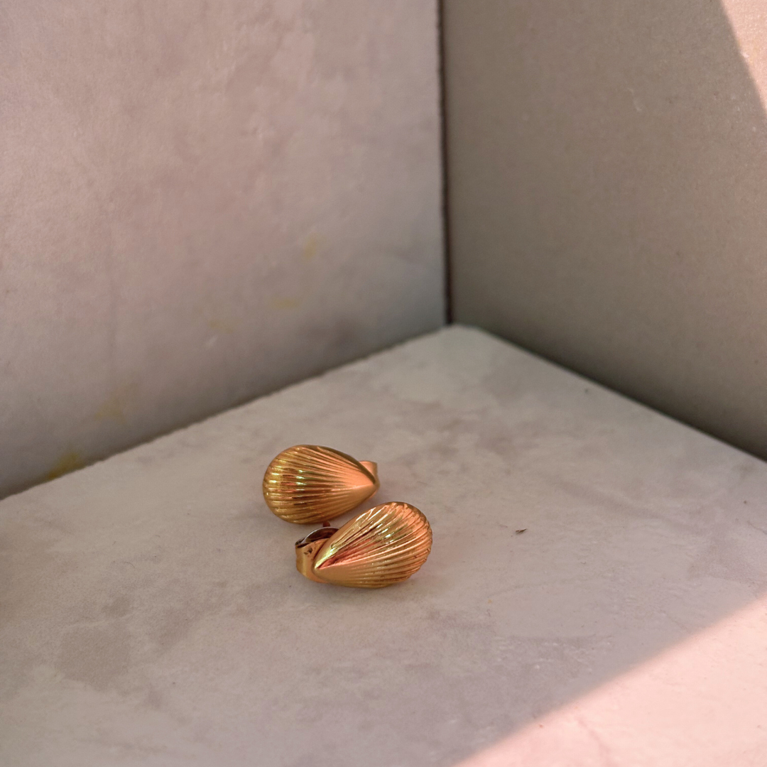 Shell Statement Stud Earrings