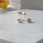 Waterdrop Zircon Earrings