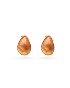 Shell Statement Stud Earrings