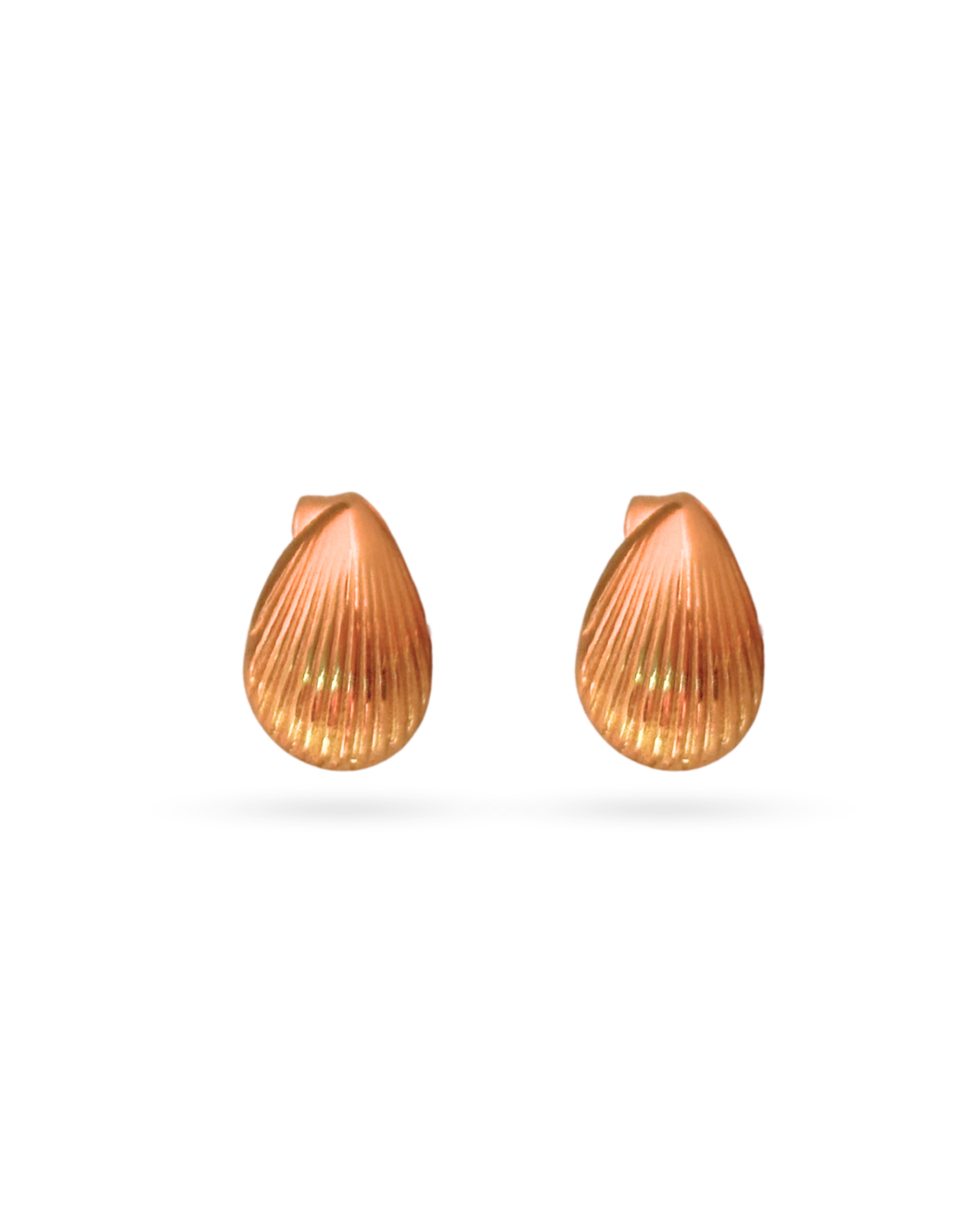 Shell Statement Stud Earrings