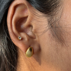 Shell Statement Stud Earrings