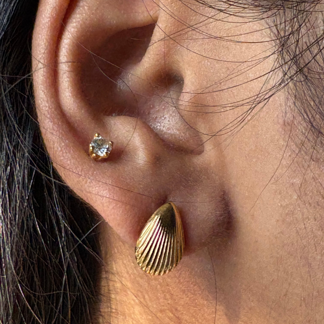 Shell Statement Stud Earrings