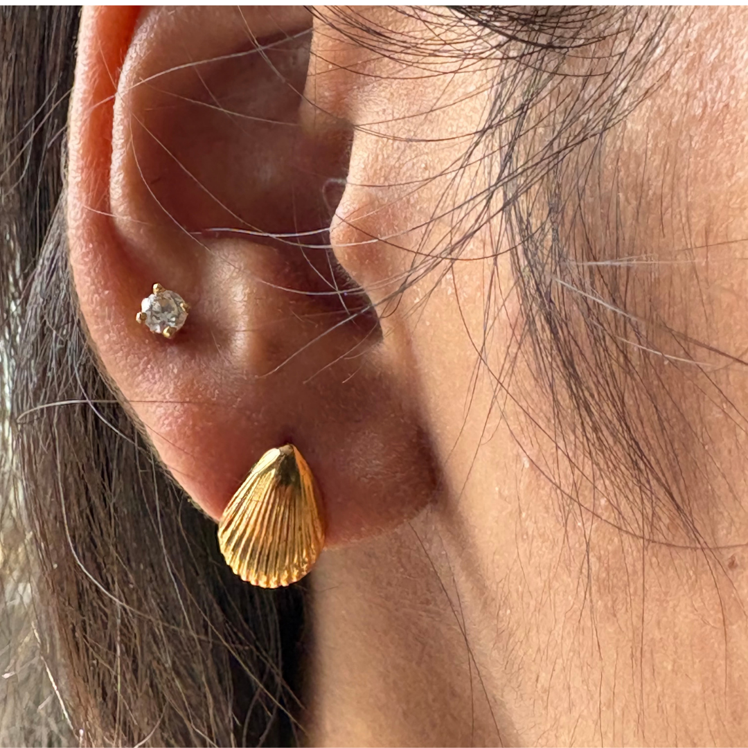 Shell Statement Stud Earrings