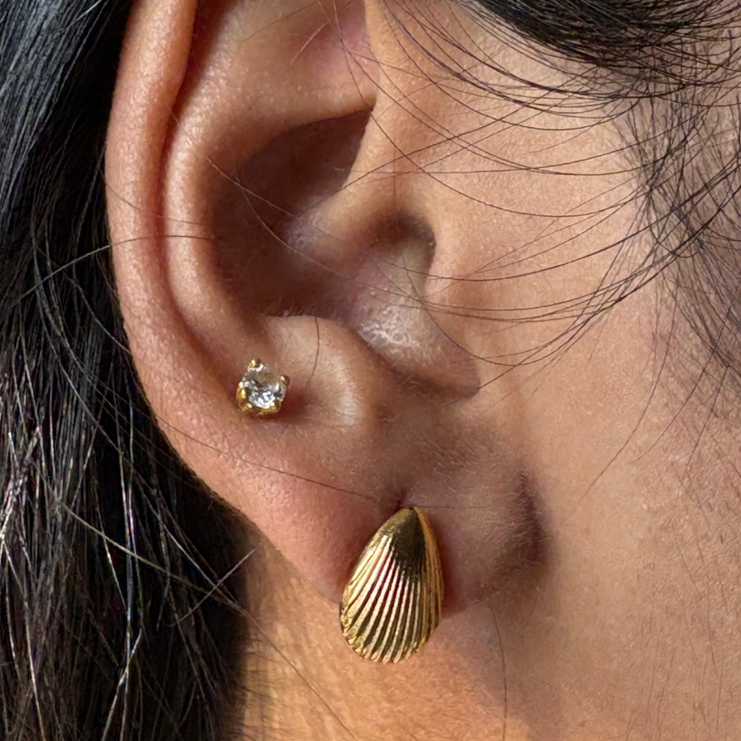 Shell Statement Stud Earrings