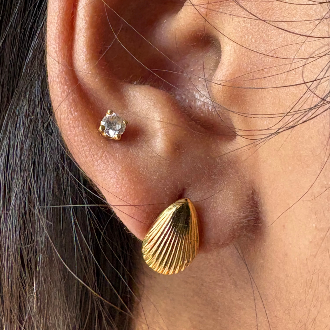 Shell Statement Stud Earrings