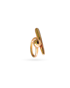 Geometric Open Ring