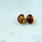 Tiger Eye Drop Earrings